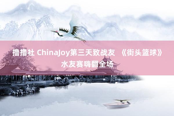撸撸社 ChinaJoy第三天致战友  《街头篮球》水友赛嗨翻全场