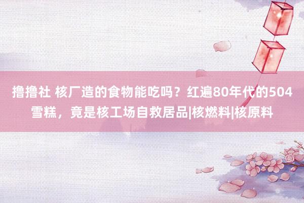 撸撸社 核厂造的食物能吃吗？红遍80年代的504雪糕，竟是核工场自救居品|核燃料|核原料