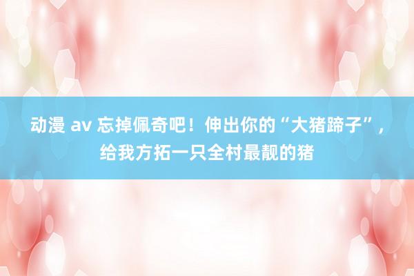 动漫 av 忘掉佩奇吧！伸出你的“大猪蹄子”，给我方拓一只全村最靓的猪