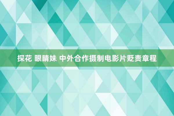 探花 眼睛妹 中外合作摄制电影片贬责章程