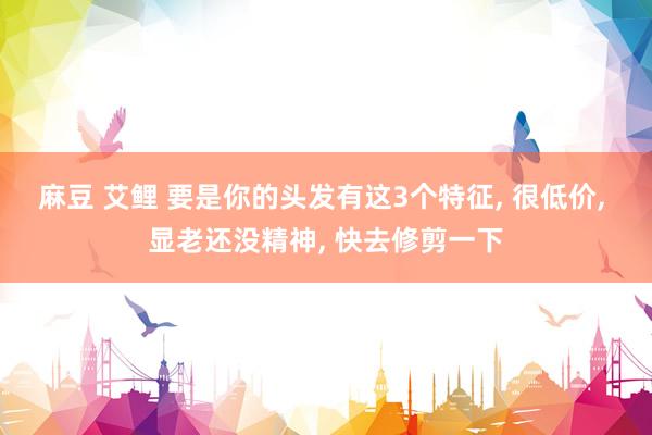 麻豆 艾鲤 要是你的头发有这3个特征， 很低价， 显老还没精神， 快去修剪一下