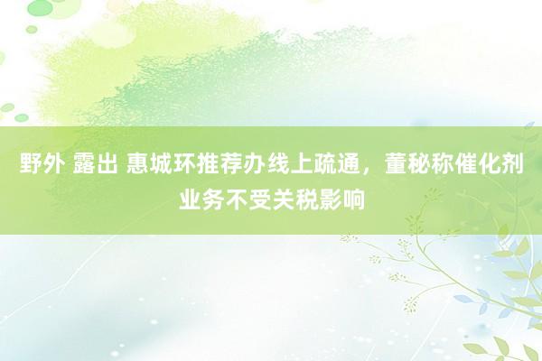 野外 露出 惠城环推荐办线上疏通，董秘称催化剂业务不受关税影响